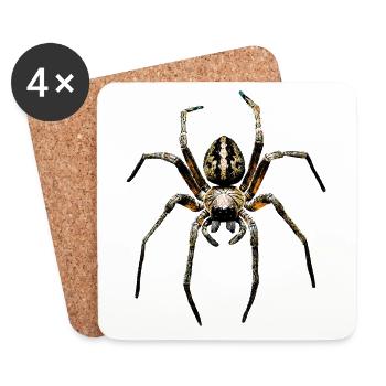 Spider Tarantula Love Arachnid Spiders - Coasters (set of 4) - white - Front