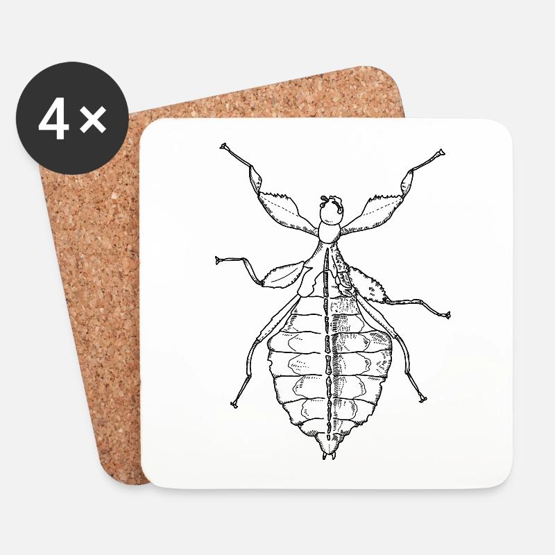 Wandelndes Blatt - Phylliidae - Gespenstschrecke - Untersetzer (4er-Set) - Weiß
