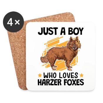 Boy of the Harz foxes loves herding fox - Coasters (set of 4) - white - Front