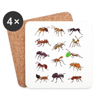De nombreuses espèces différentes de fourmis - Dessous de verre (lot de 4) - blanc - Devant