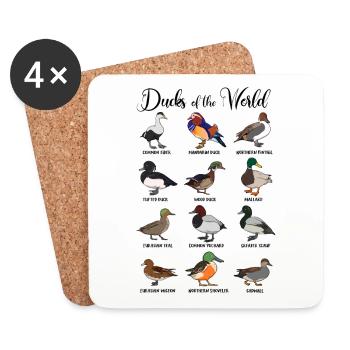 Different ducks - types of ducks - Coasters (set of 4) - white - Front