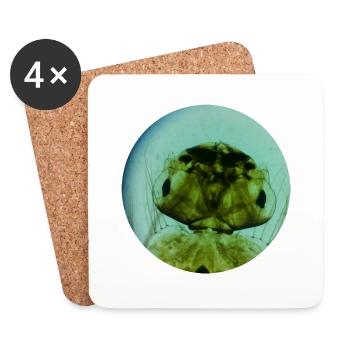 Larve de moustique - Dessous de verre (lot de 4) - blanc - Devant