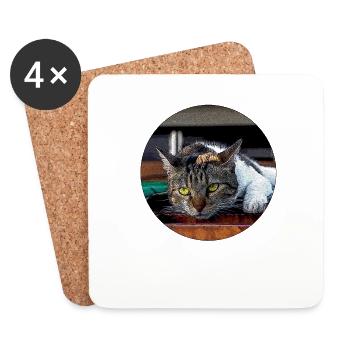 All cats are beautiful - Coasters (set of 4) - white - Front