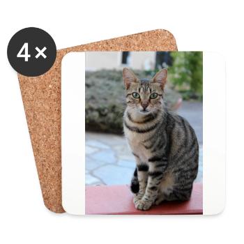 cat, kitten - Coasters (set of 4) - white - Front