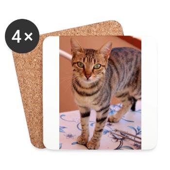 cat, kitten - Coasters (set of 4) - white - Front