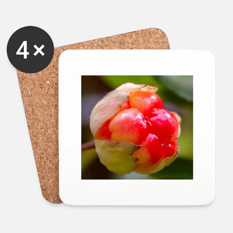 Cloudberry - Coasters (set of 4) - white