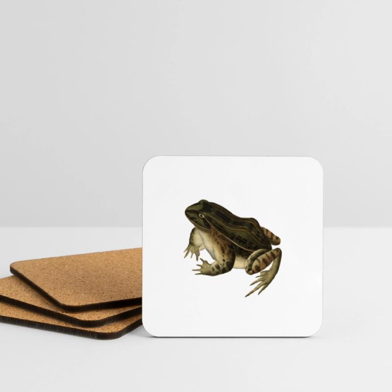 frog toad toad frog illustration drawing vintage Coasters (set of 4)