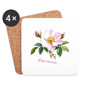Rosa canina - botanische Illustration, Aquarell - Untersetzer (4er-Set) - Weiß - Vorne