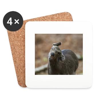 000 3550 NEF - Coasters (set of 4) - white - Front