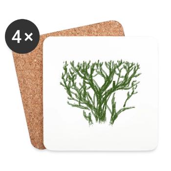 Tree - Coasters (set of 4) - white - Front