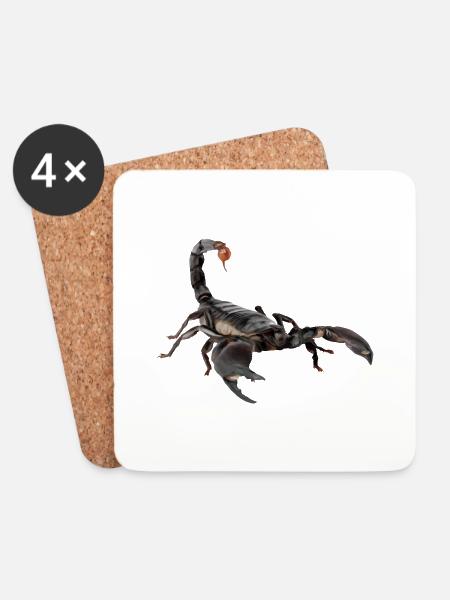 Skorpion - Untersetzer (4er-Set) - Weiß