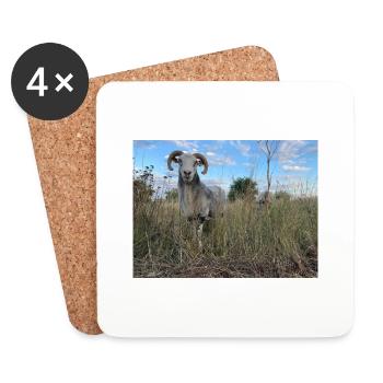 Chèvre - Dessous de verre (lot de 4) - blanc - Devant