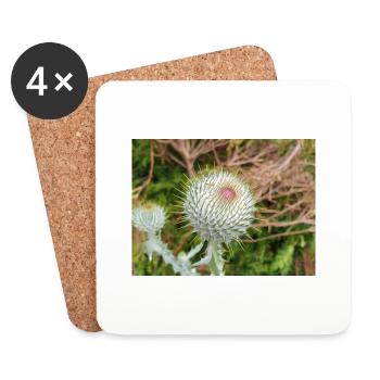 Scotch Baumwolldistel auch Wolldistel - Untersetzer (4er-Set) - Weiß - Vorne