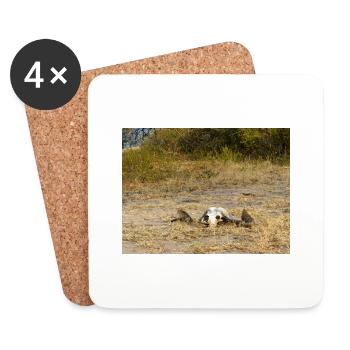 skull of a Cape buffalo Landscape in Namibia - Coasters (set of 4) - white - Front