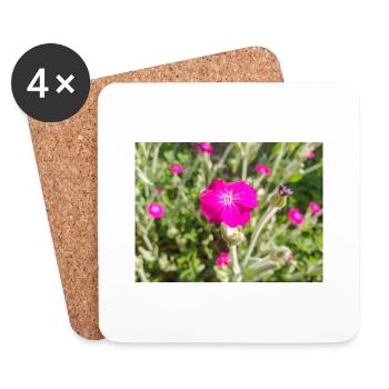 Rosennelke Lychnis coronaria Kronen-Lichtnelke - Untersetzer (4er-Set) - Weiß - Vorne