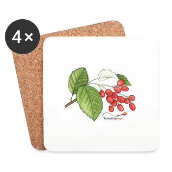 Echte Mehlbeere (Sorbus aria) - Untersetzer (4er-Set) - Weiß - Vorne
