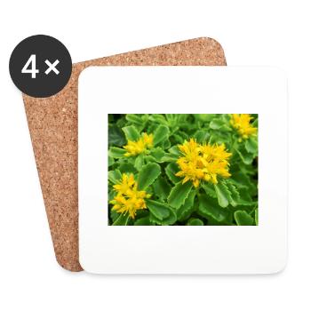 orpin aussi sedum aussi orpine Ewige Fetthenne - Dessous de verre (lot de 4) - blanc - Devant