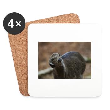 000 3551 NEF - Coasters (set of 4) - white - Front