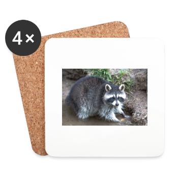 Nordamerikanischer Waschbär (racoons) - Untersetzer (4er-Set) - Weiß - Vorne