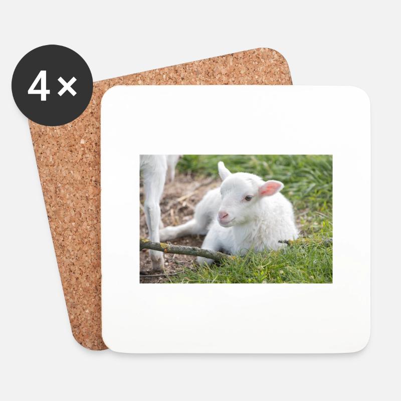 Lämmchen (Ovis) Lamm - Untersetzer (4er-Set) - Weiß