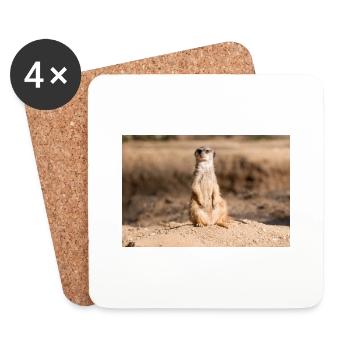 Meerkat (Suricata suricatta) meerkat - Coasters (set of 4) - white - Front