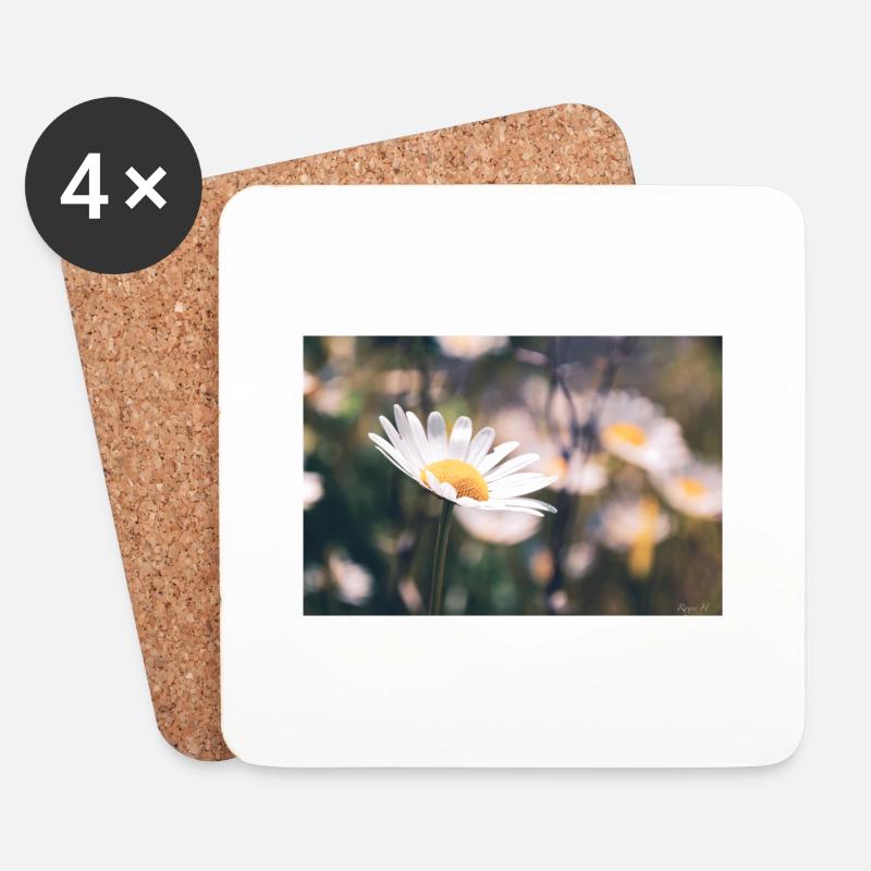 Gänseblümchen - Untersetzer (4er-Set) - Weiß