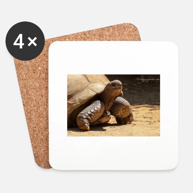 Galapagos Risen Turtle - Coasters (set of 4) - white