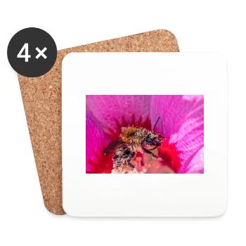 Bumblebee collecting pollen - Coasters (set of 4) - white - Front