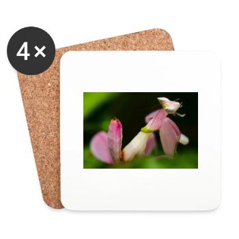 Pink Hymenopus coronatus nymphe - Coasters (set of 4) - white - Front