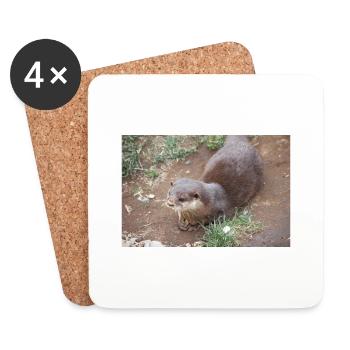 Asiatischer Kleinkrallenotter Zwergotter - Untersetzer (4er-Set) - Weiß - Vorne