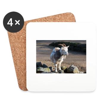 Chèvre naine ou chèvre miniature Zwergziege - Dessous de verre (lot de 4) - blanc - Devant