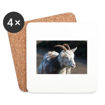 Dwarf Goat or Miniature Goat Zwergziege - Coasters (set of 4) - white - Front