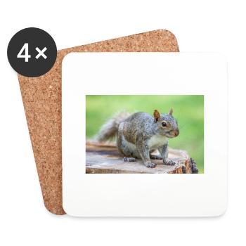 Écureuil gris Grauhörnchen Sciurus carolinensis - Dessous de verre (lot de 4) - blanc - Devant