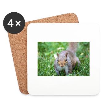 Écureuil gris Grauhörnchen Sciurus carolinensis - Dessous de verre (lot de 4) - blanc - Devant