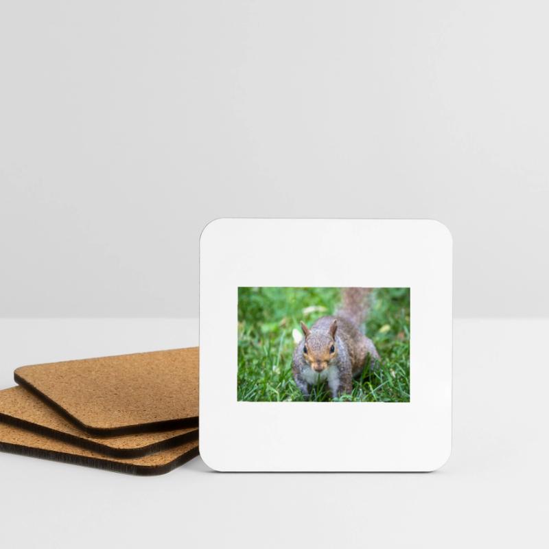Grey squirrel Grauhörnchen Sciurus carolinensis Coasters (set of 4)