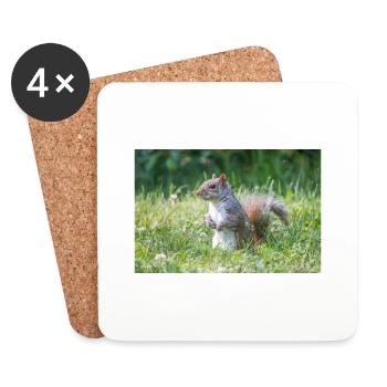 stehendes Grauhörnchen (Sciurus carolinensis) grey - Untersetzer (4er-Set) - Weiß - Vorne