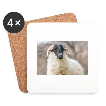 Mouton (en allemand Schaf) Ovis en Irlande - Dessous de verre (lot de 4) - blanc - Devant