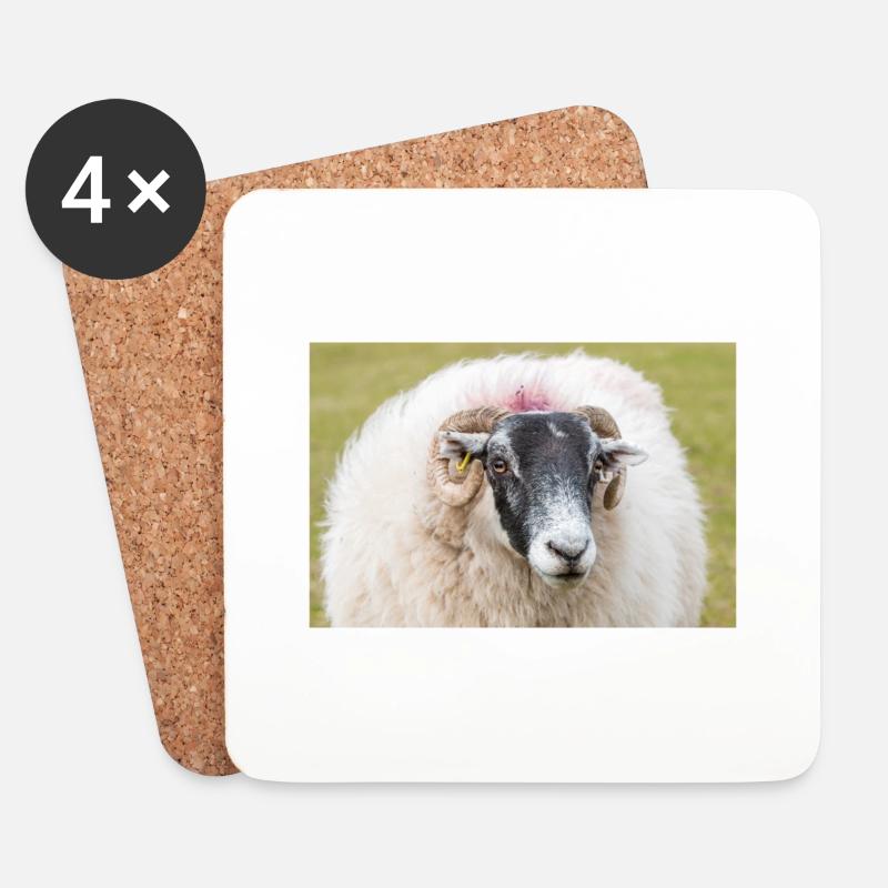 Schaf Ovis in Irland - Untersetzer (4er-Set) - Weiß