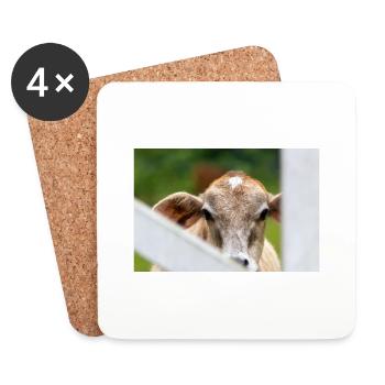 petit veau au doux regard - Dessous de verre (lot de 4) - blanc - Devant