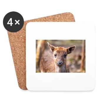 Fallow Deer (in german Damwild or Damhirsch) Dama - Coasters (set of 4) - white - Front