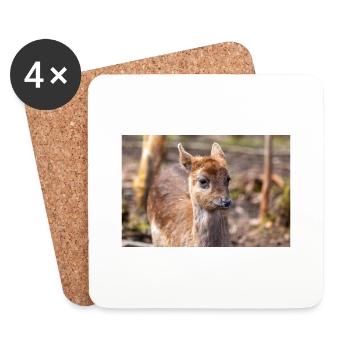 Fallow Deer (in german Damwild or Damhirsch) Dama - Coasters (set of 4) - white - Front