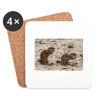African ground squirrels Borstenhörnchen Xerus - Coasters (set of 4) - white - Front