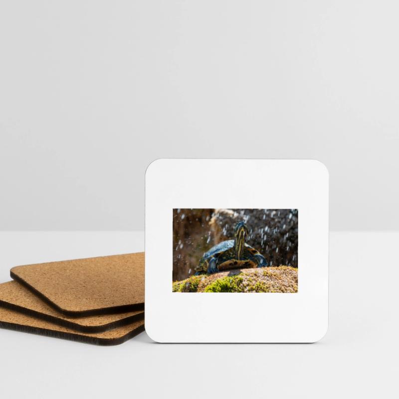 Trachemys scripta scripta scripta Dessous de verre (lot de 4)