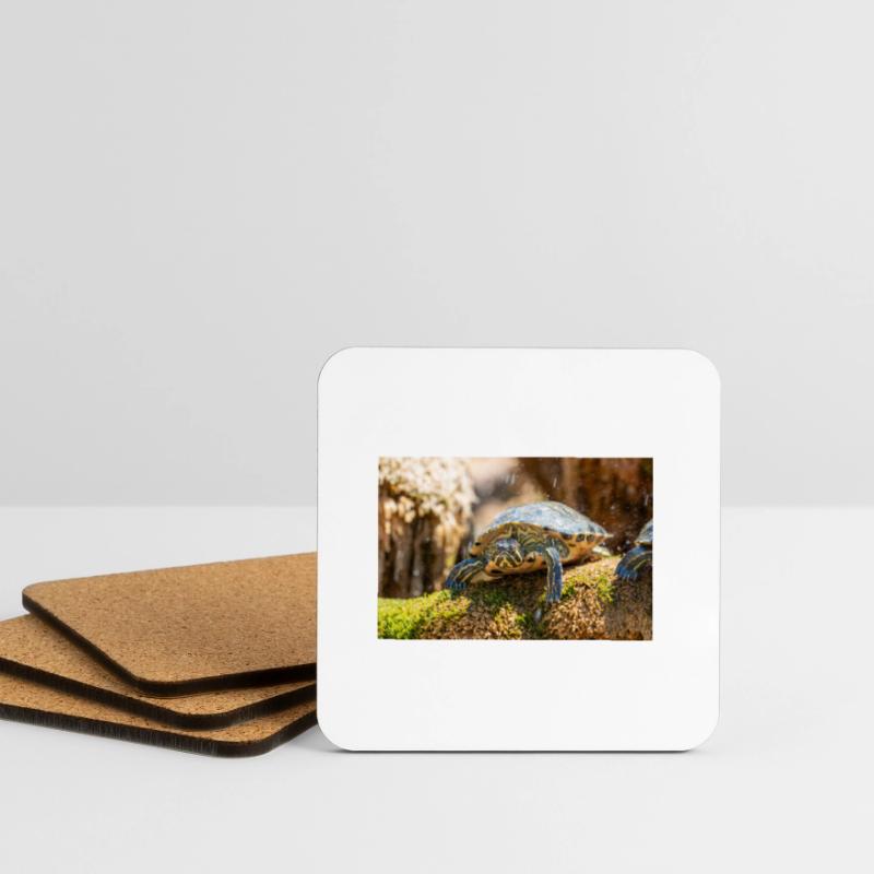 Trachemys scripta scripta scripta Dessous de verre (lot de 4)