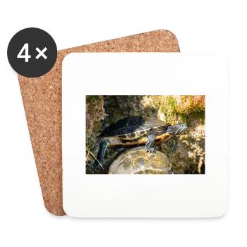 Trachemys scripta scripta scripta - Dessous de verre (lot de 4) - blanc - Devant
