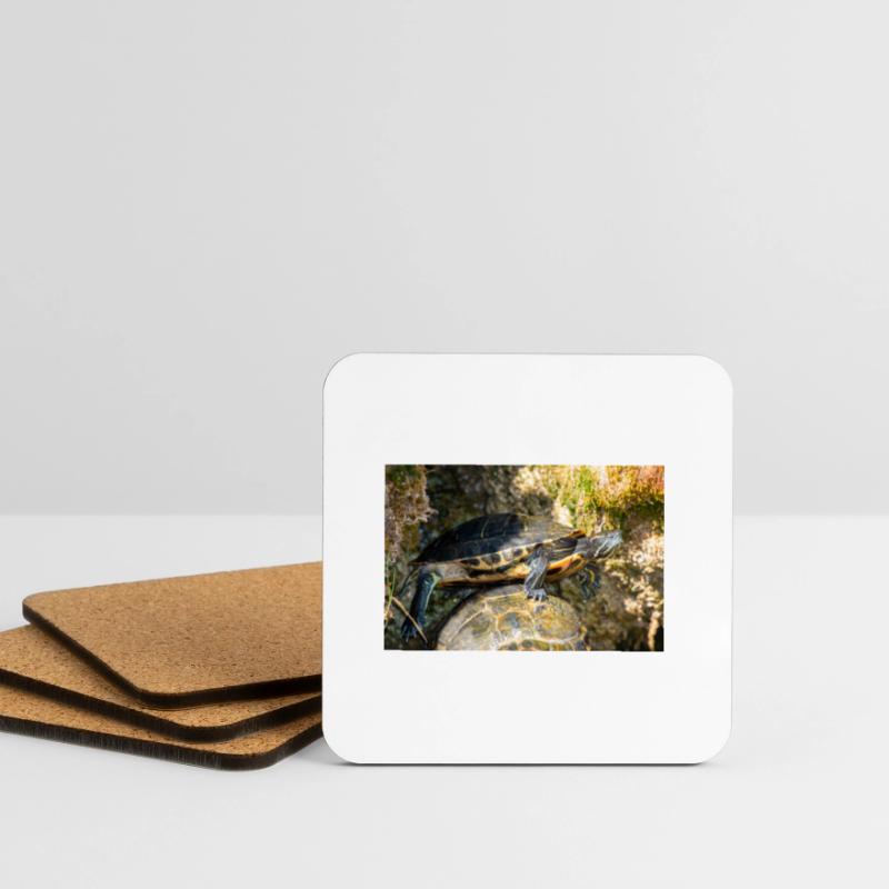 Trachemys scripta scripta scripta Dessous de verre (lot de 4)