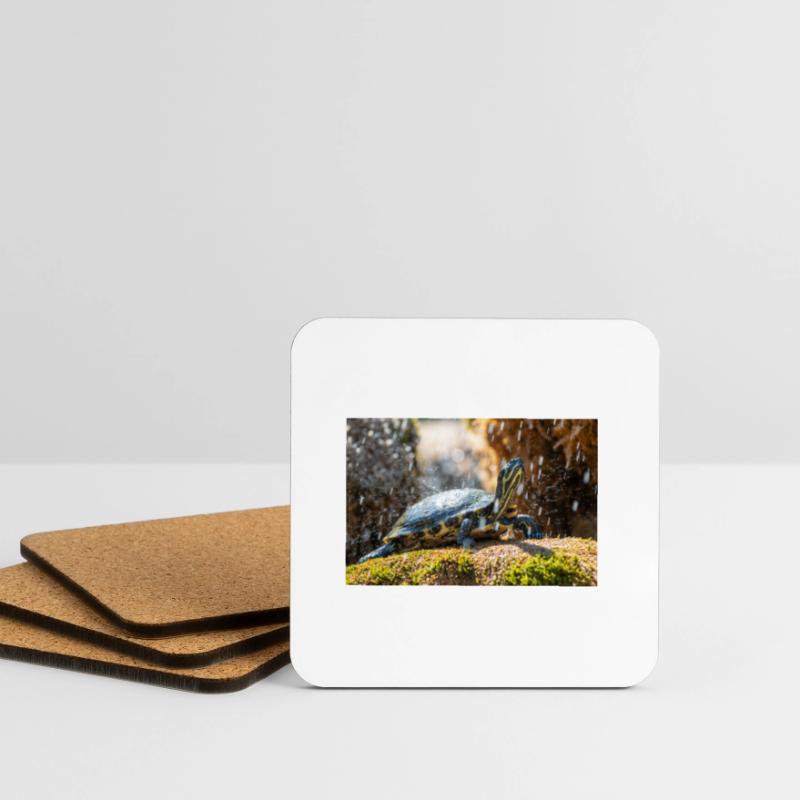 Trachemys scripta scripta scripta Dessous de verre (lot de 4)