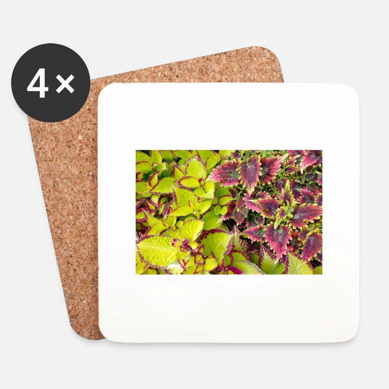 Buntnessel - Untersetzer (4er-Set) - Weiß