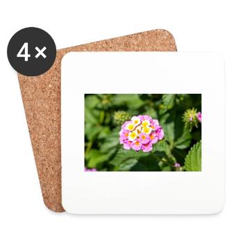 Lantana also Spanish flag Wandelröschen - Coasters (set of 4) - white - Front