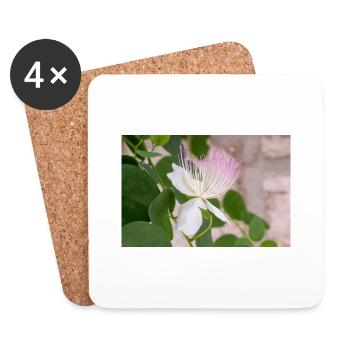 Kapernstrauch auch Flinders-Rose Capparis spinosa - Untersetzer (4er-Set) - Weiß - Vorne